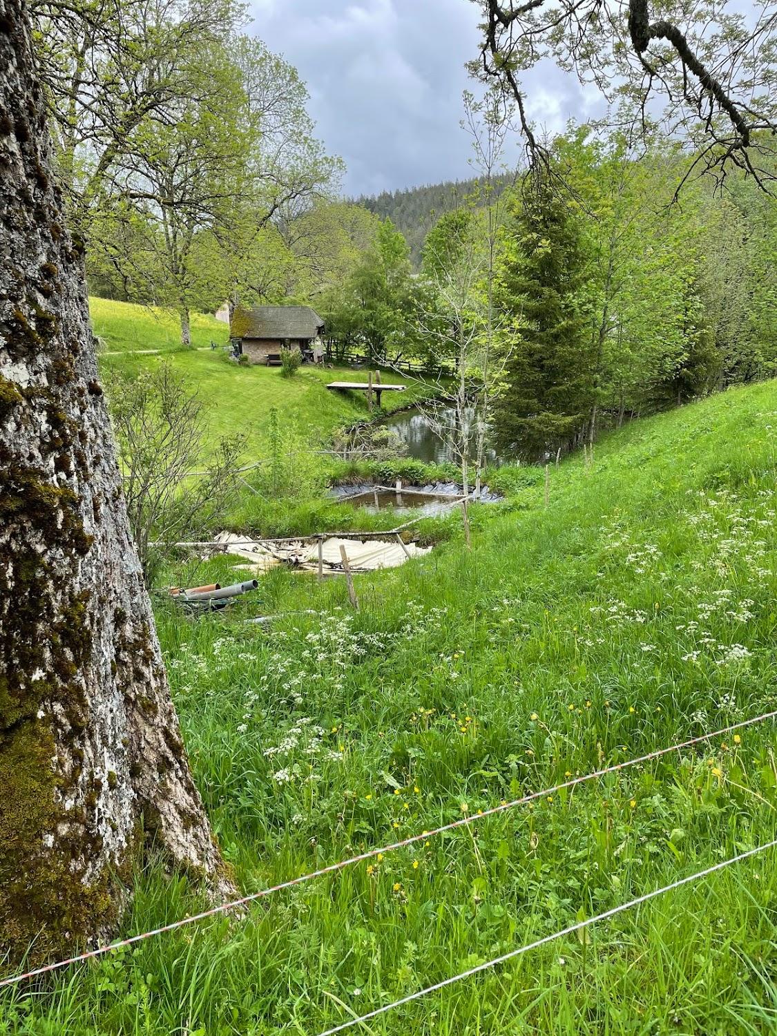 Cover Image for Unterroturachhof