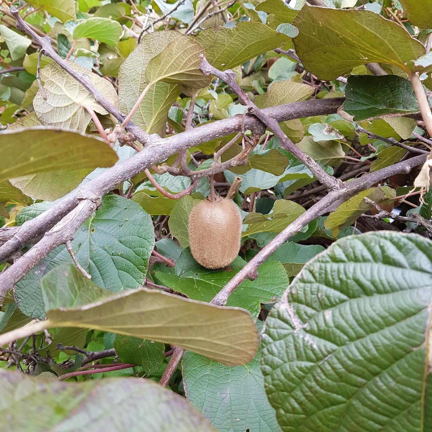 Cover Image for 칠불암한옥펜션