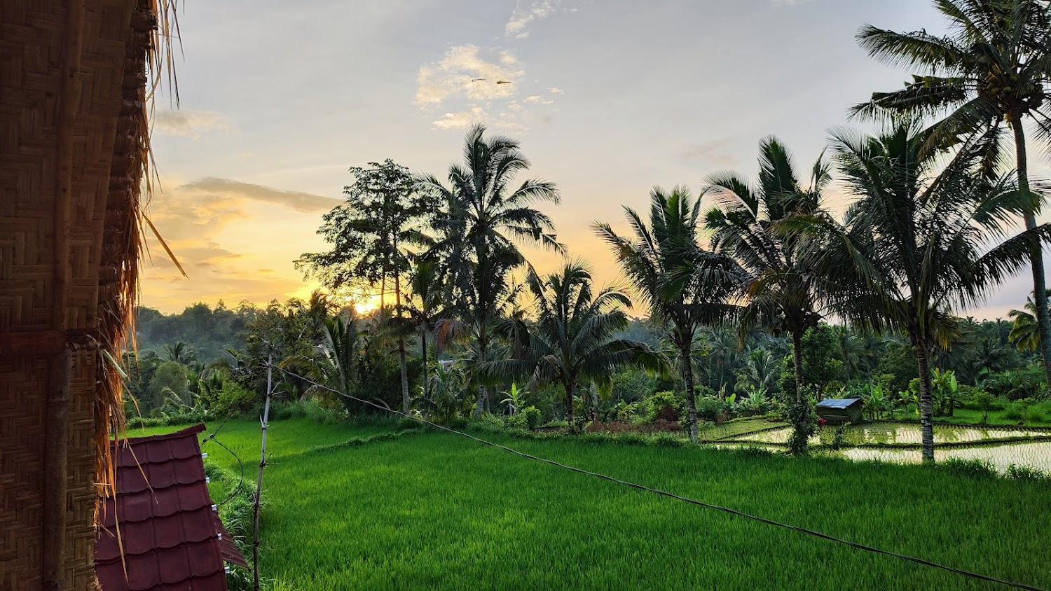 Cover Image for Eco homestory