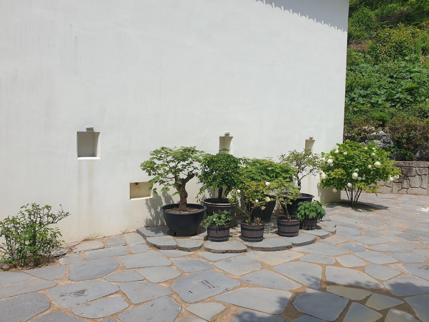 Cover Image for 세도나 애견 펜션