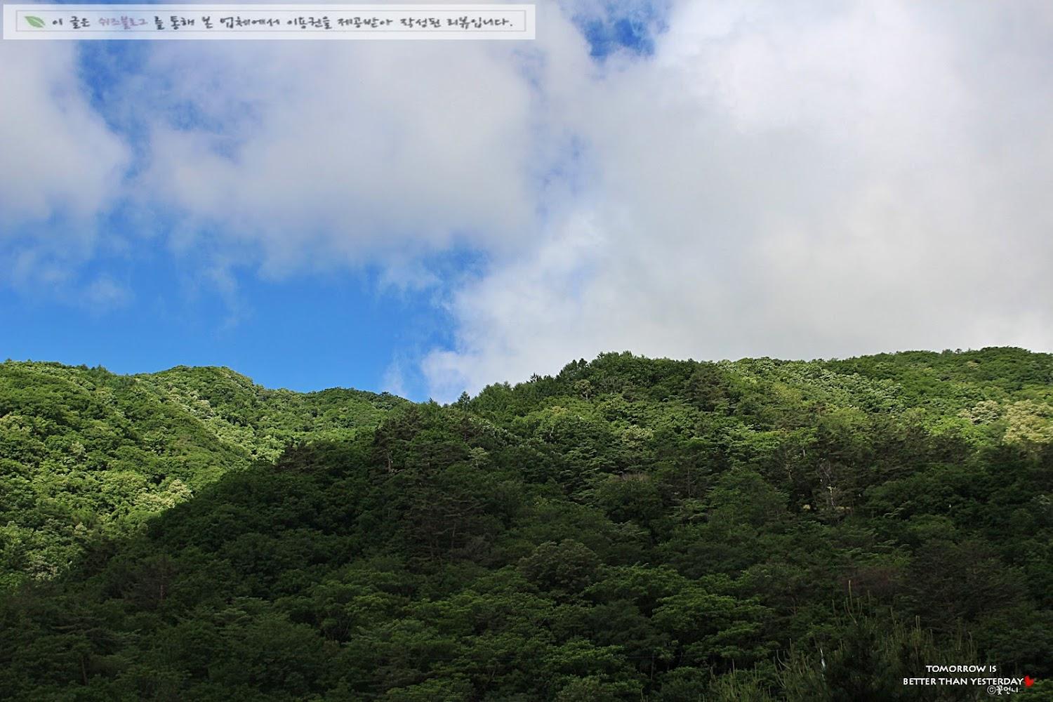 Cover Image for 바다내음펜션