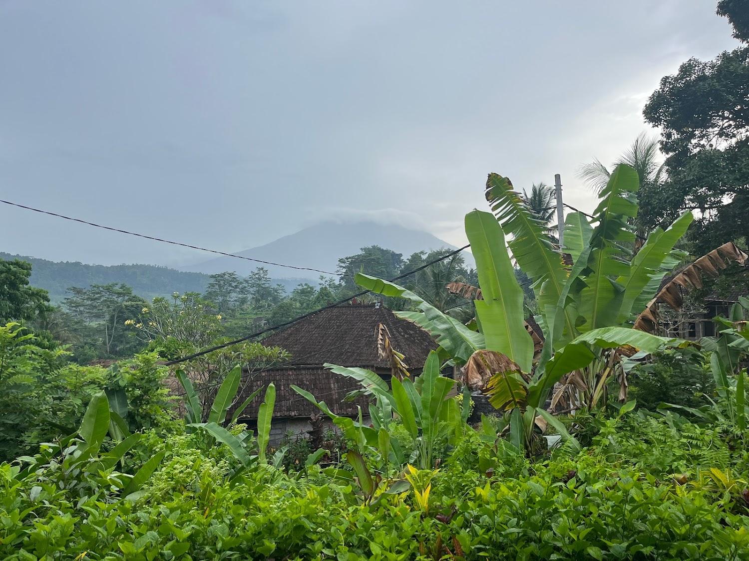 Cover Image for Lila Stana - Sidemen Guesthouse