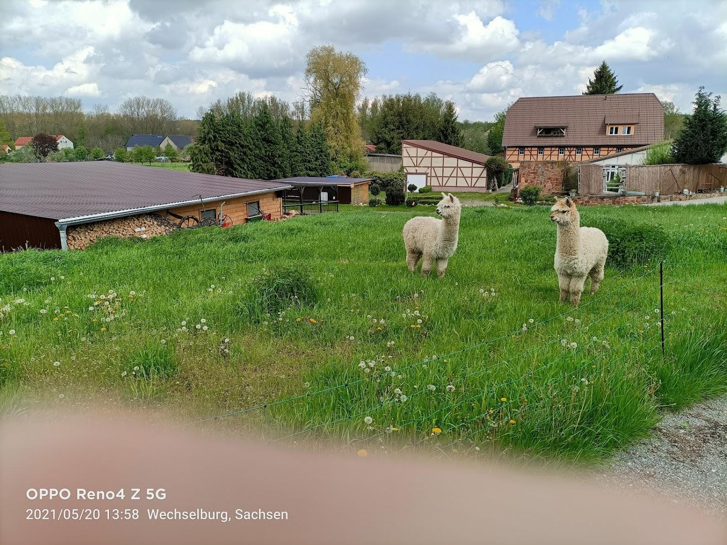 Cover Image for Pension Staude