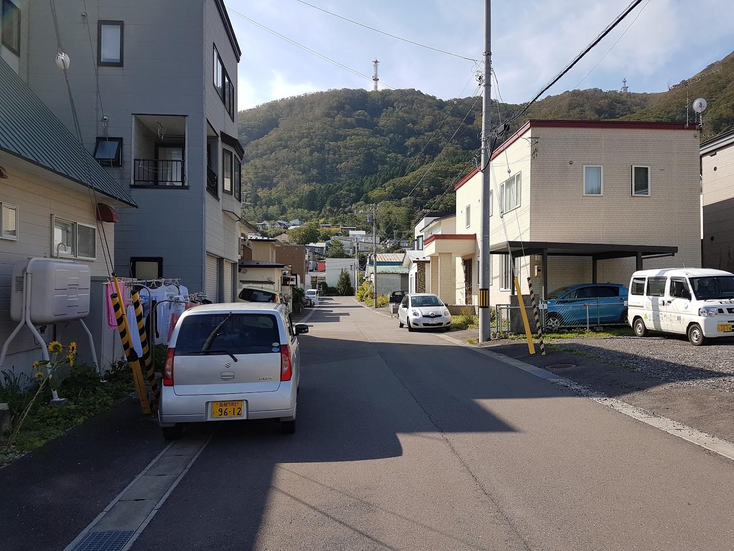 Cover Image for Apple hakodate