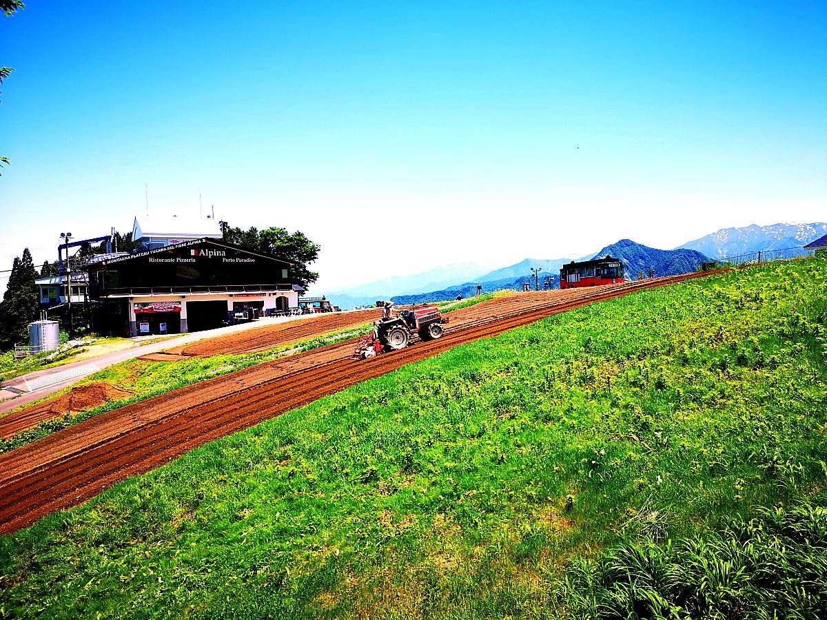 Cover Image for Yuzawa Toei Hotel