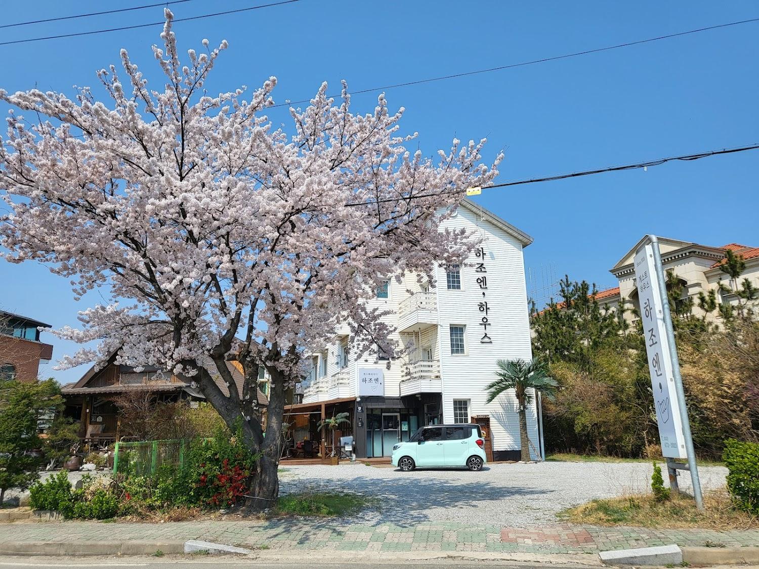 Cover Image for 하조엔 게스트하우스
