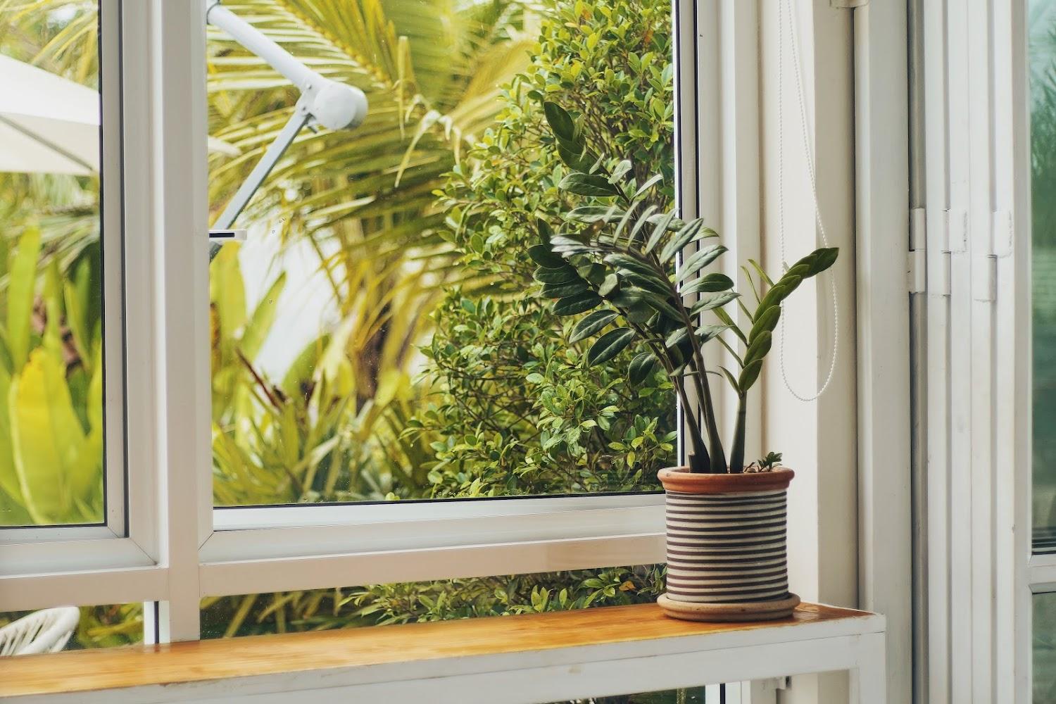 Cover Image for MEET boutique resort