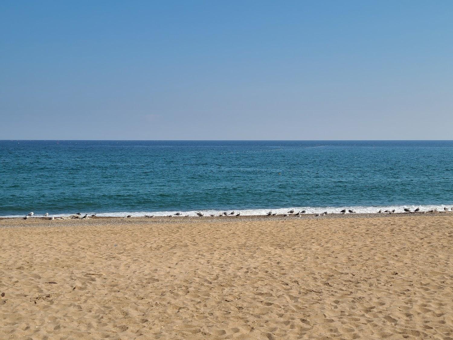 Cover Image for 동해비치관광호텔