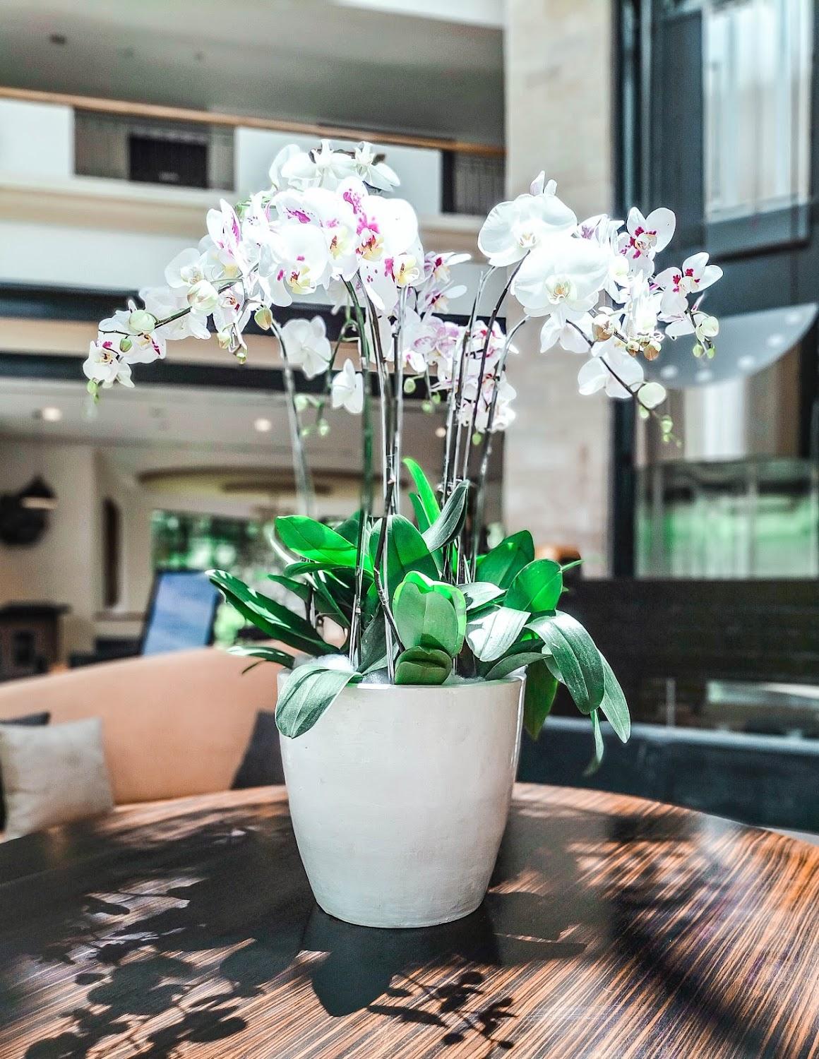 Cover Image for Grand Diamond Hotel Yogyakarta
