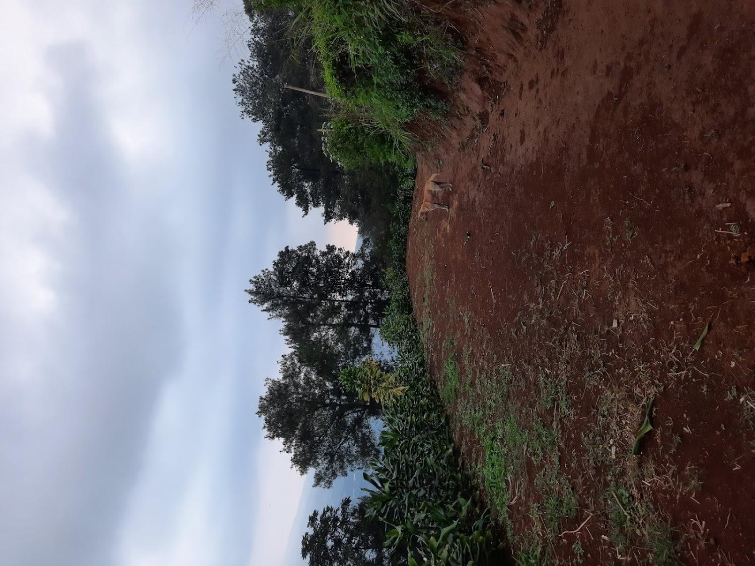 Cover Image for K2 Camp Rawa Gede