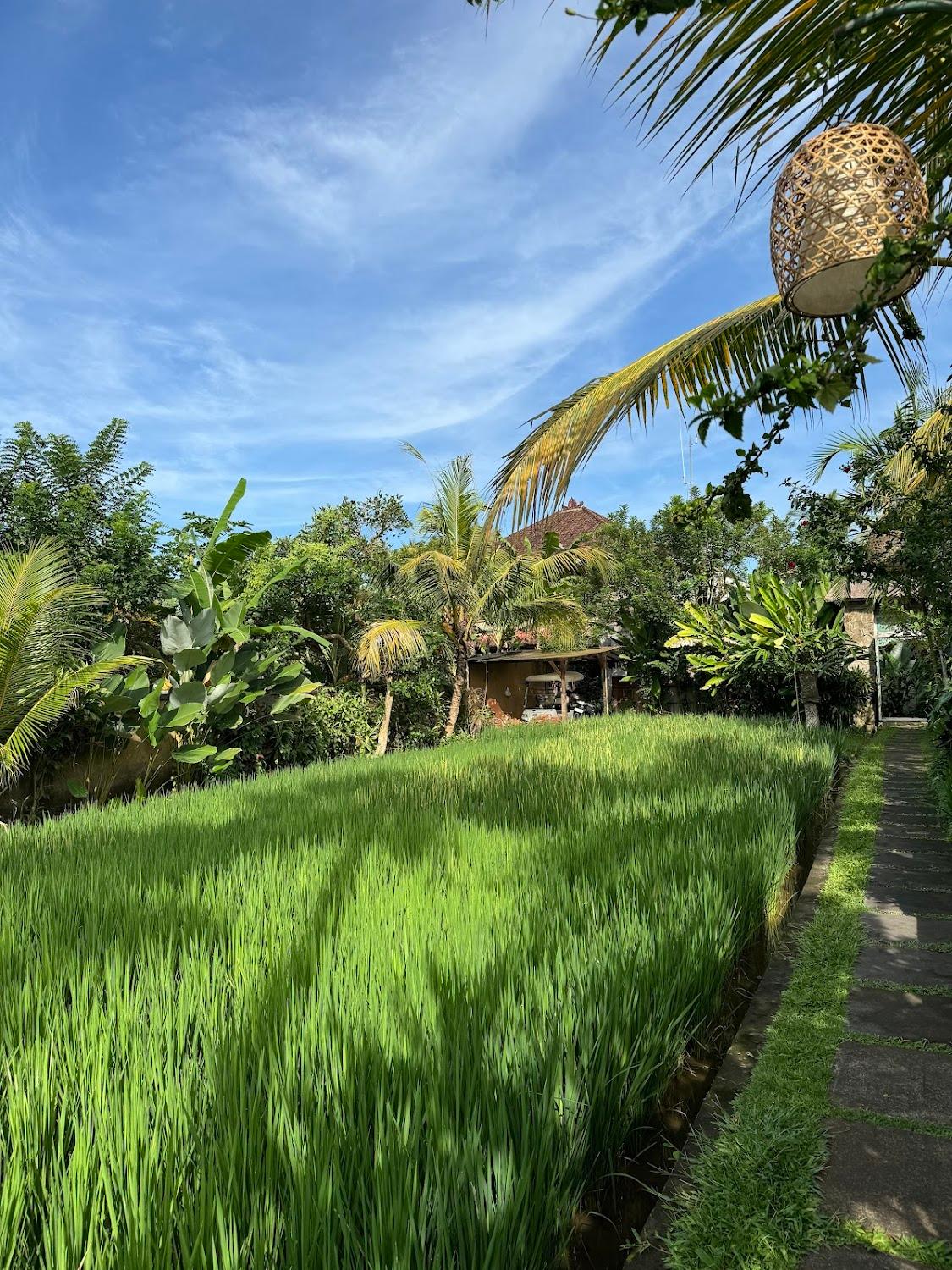 Cover Image for Villa Nini Ubud