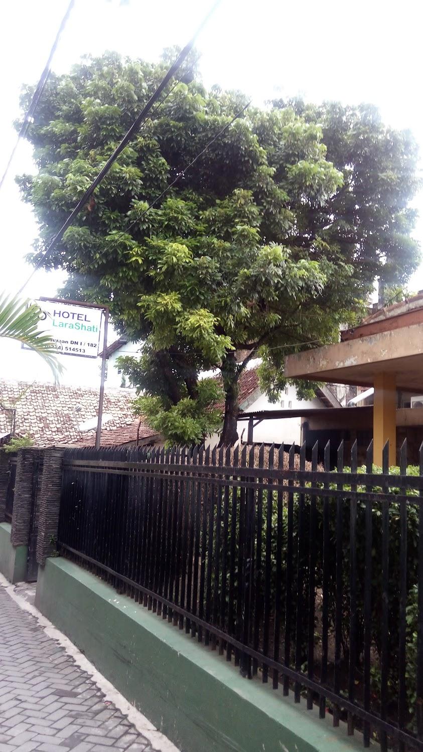 Cover Image for Hotel Larashati
