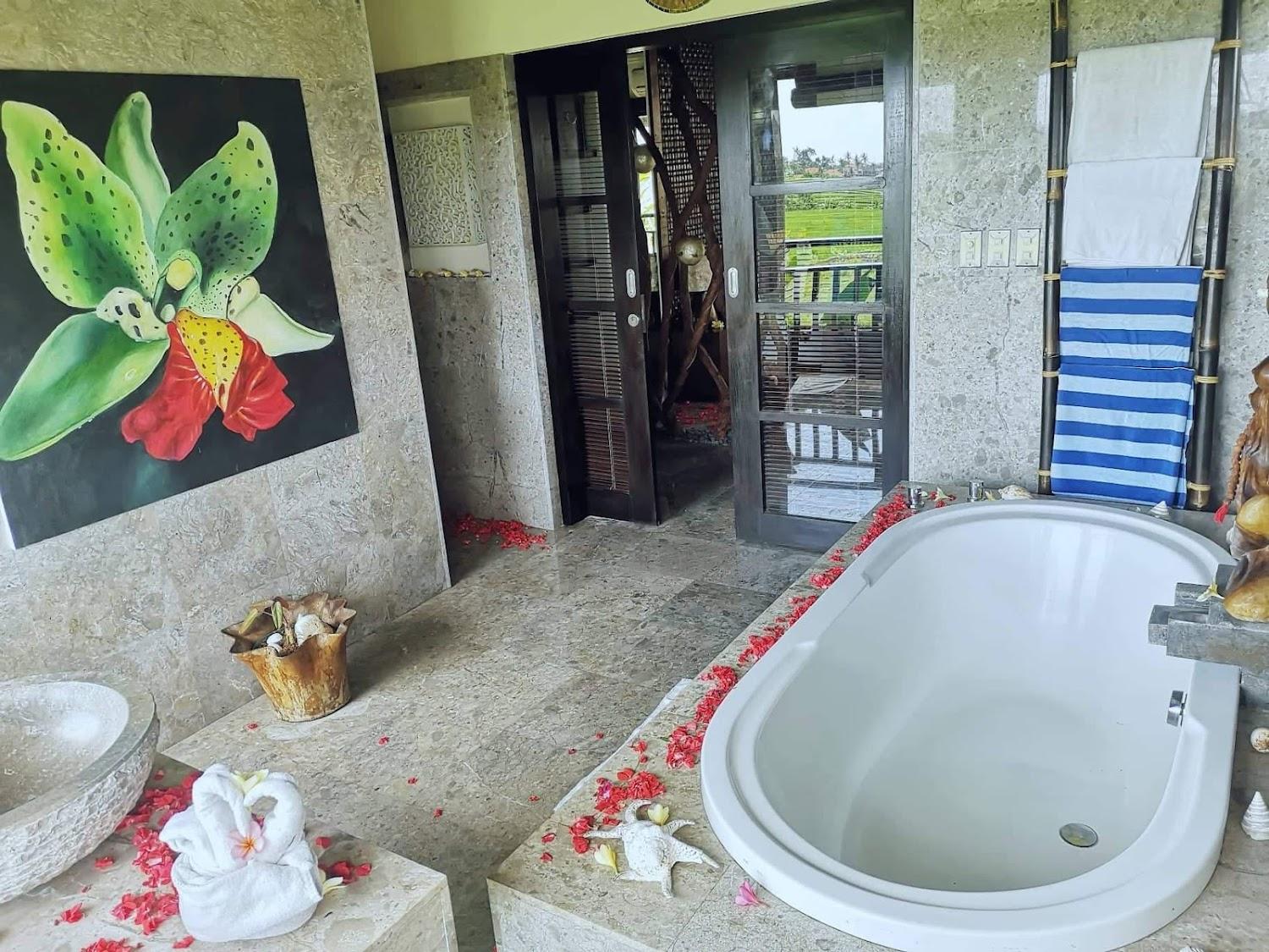 Cover Image for The Zala Villa