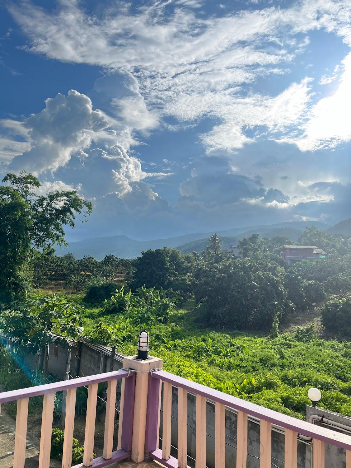 Cover Image for แม่กลางบานเย็นฮิลล์