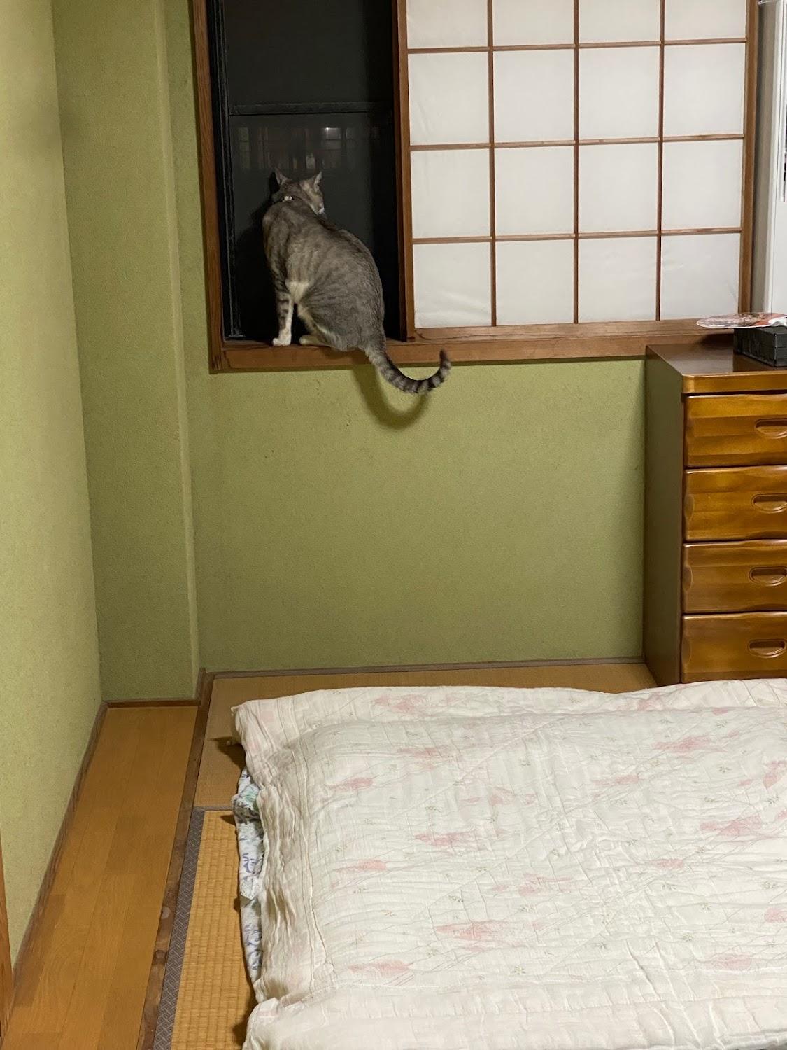 Cover Image for Small Harbor Guesthouse