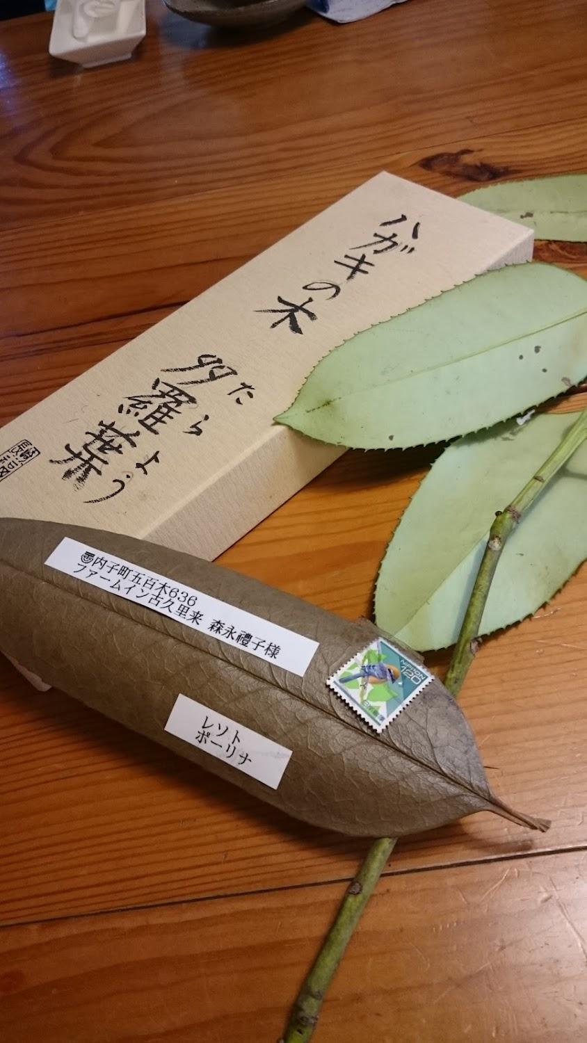 Cover Image for 古久里来ファーム イン