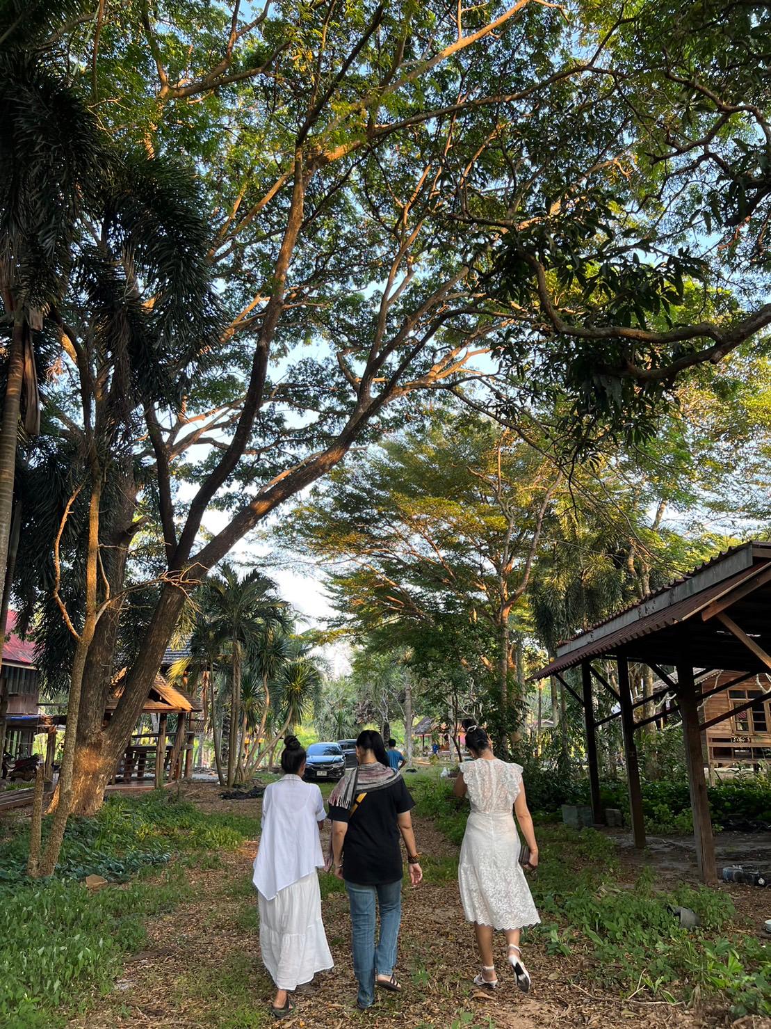 Cover Image for Resort บางพระ