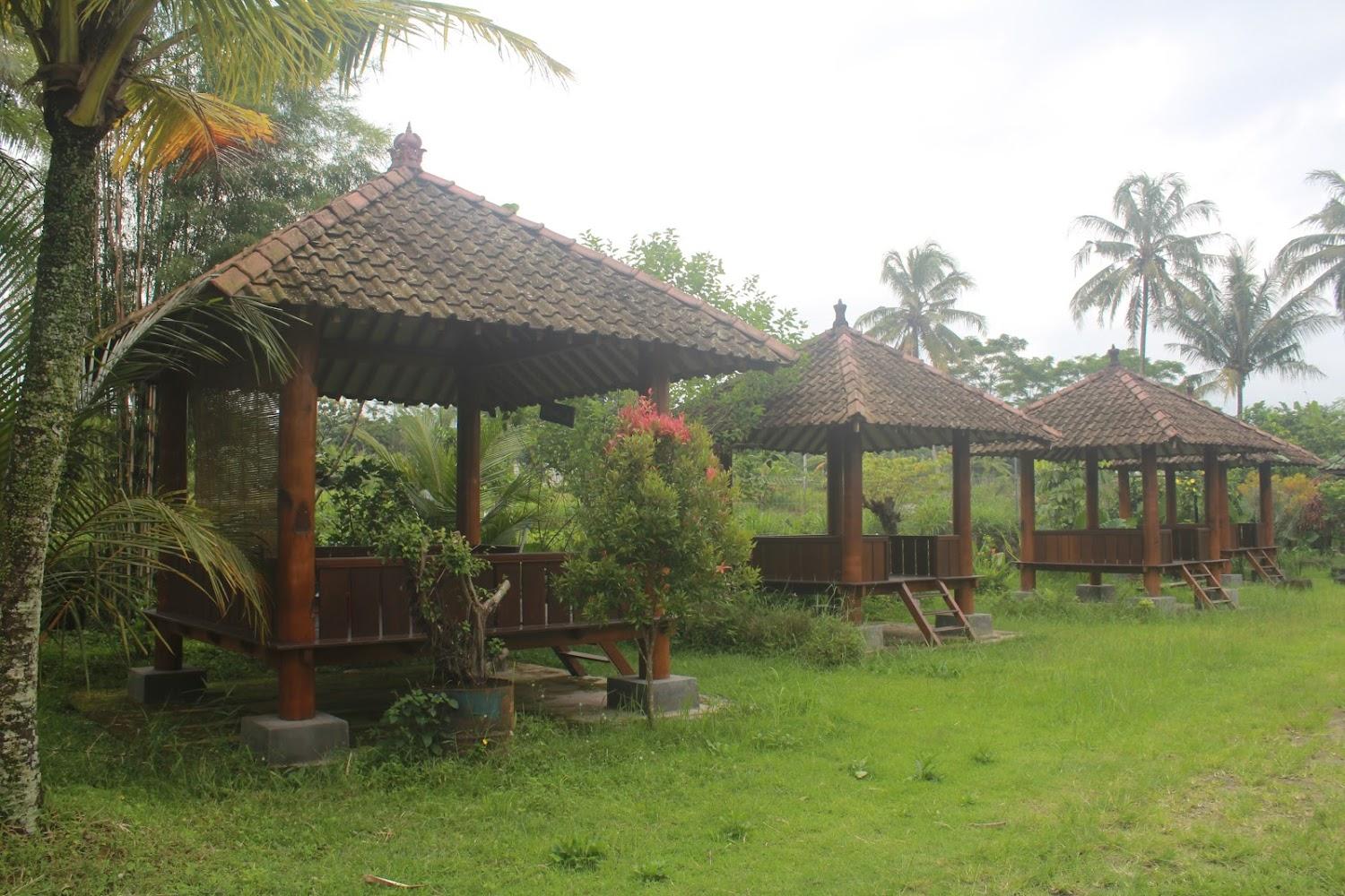 Cover Image for JOGLO GREEN HOUSE
