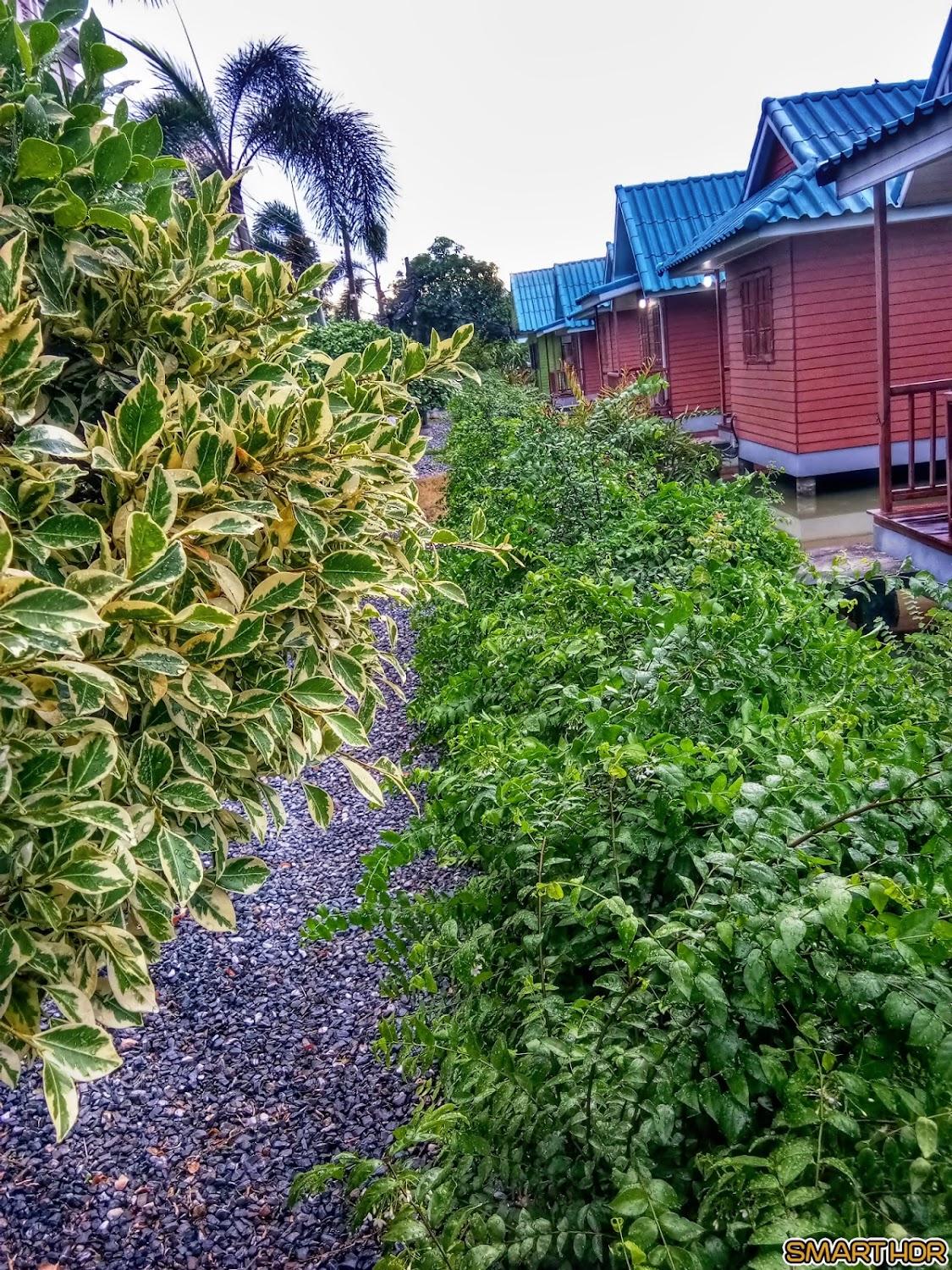 Cover Image for ត្រី11