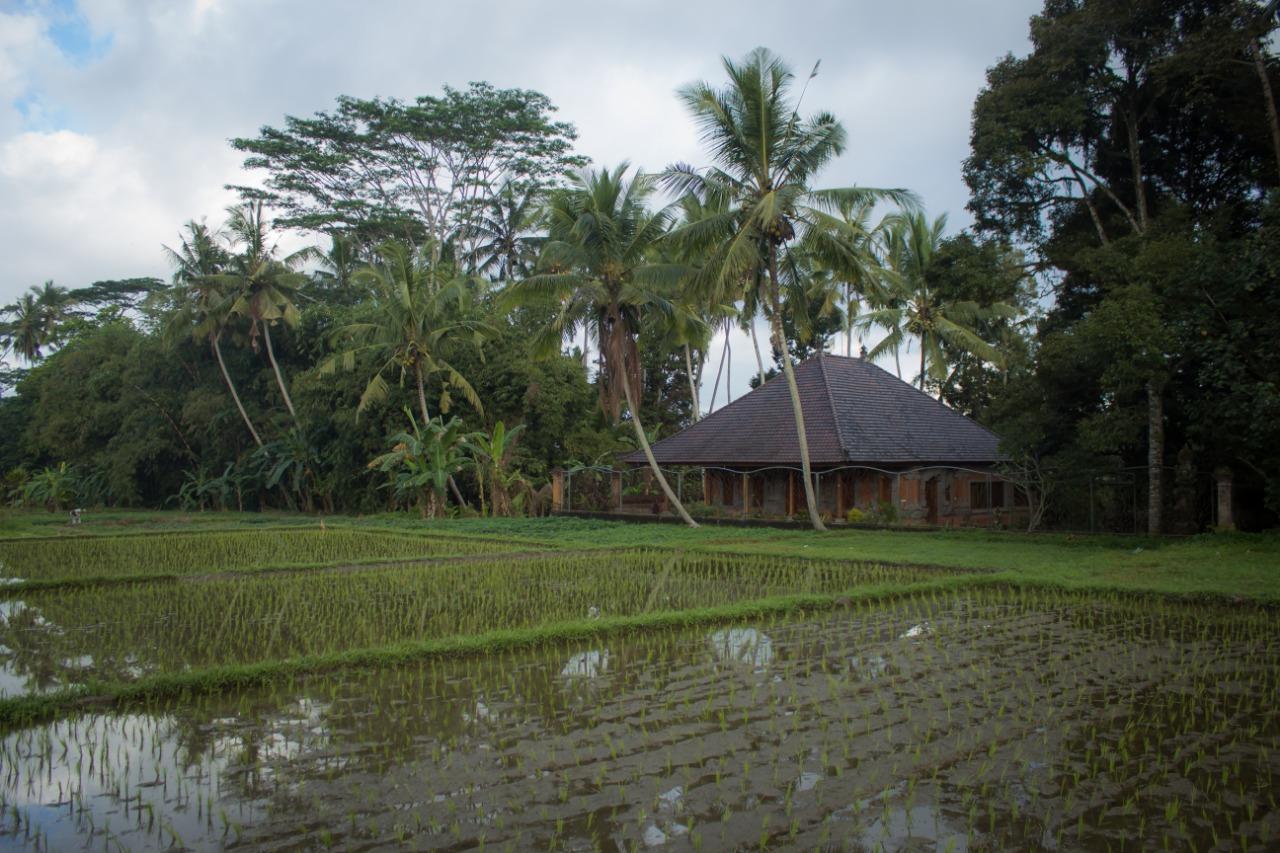 Cover Image for gusti family house