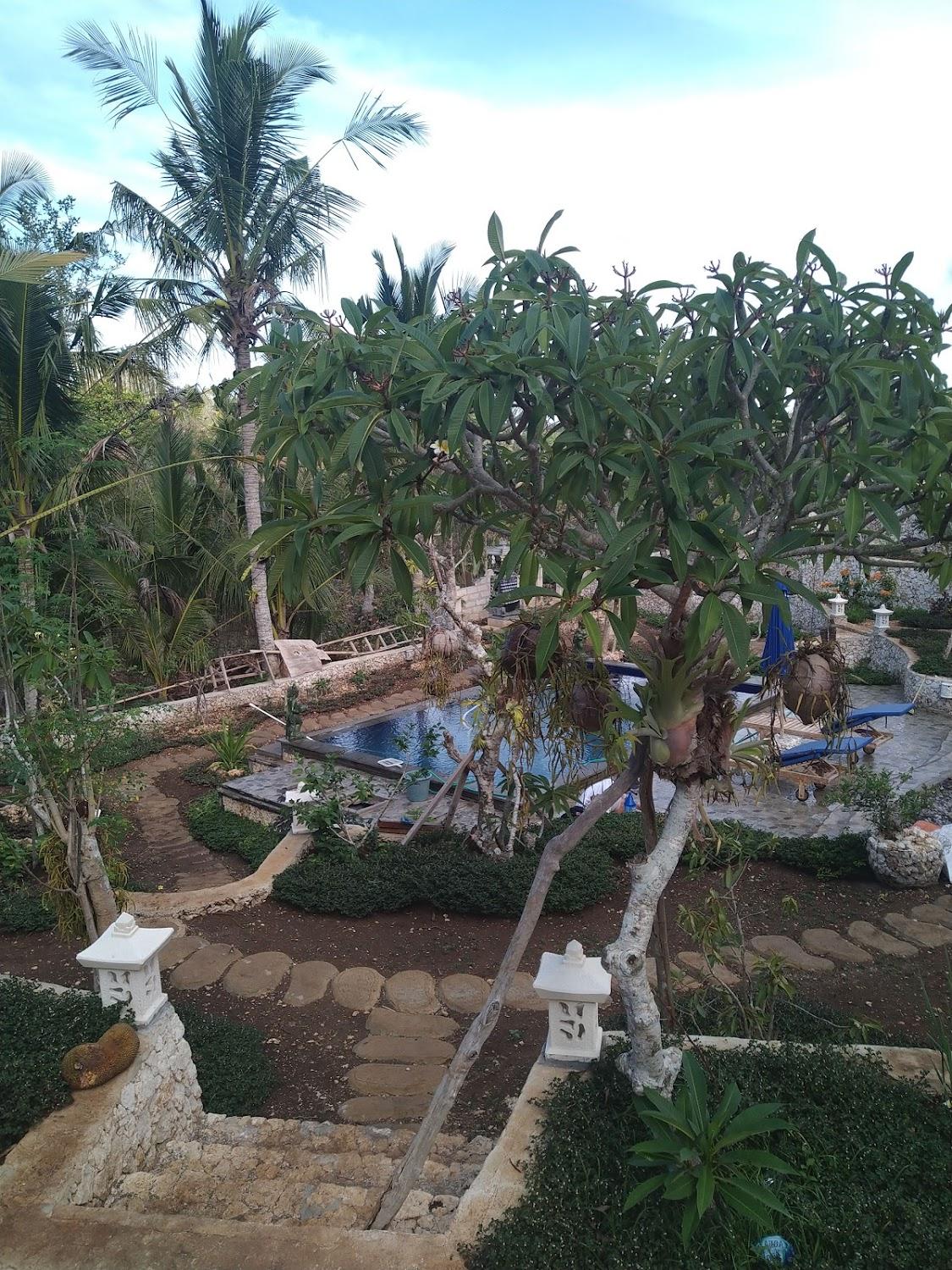 Cover Image for The tukad gepuh cottage