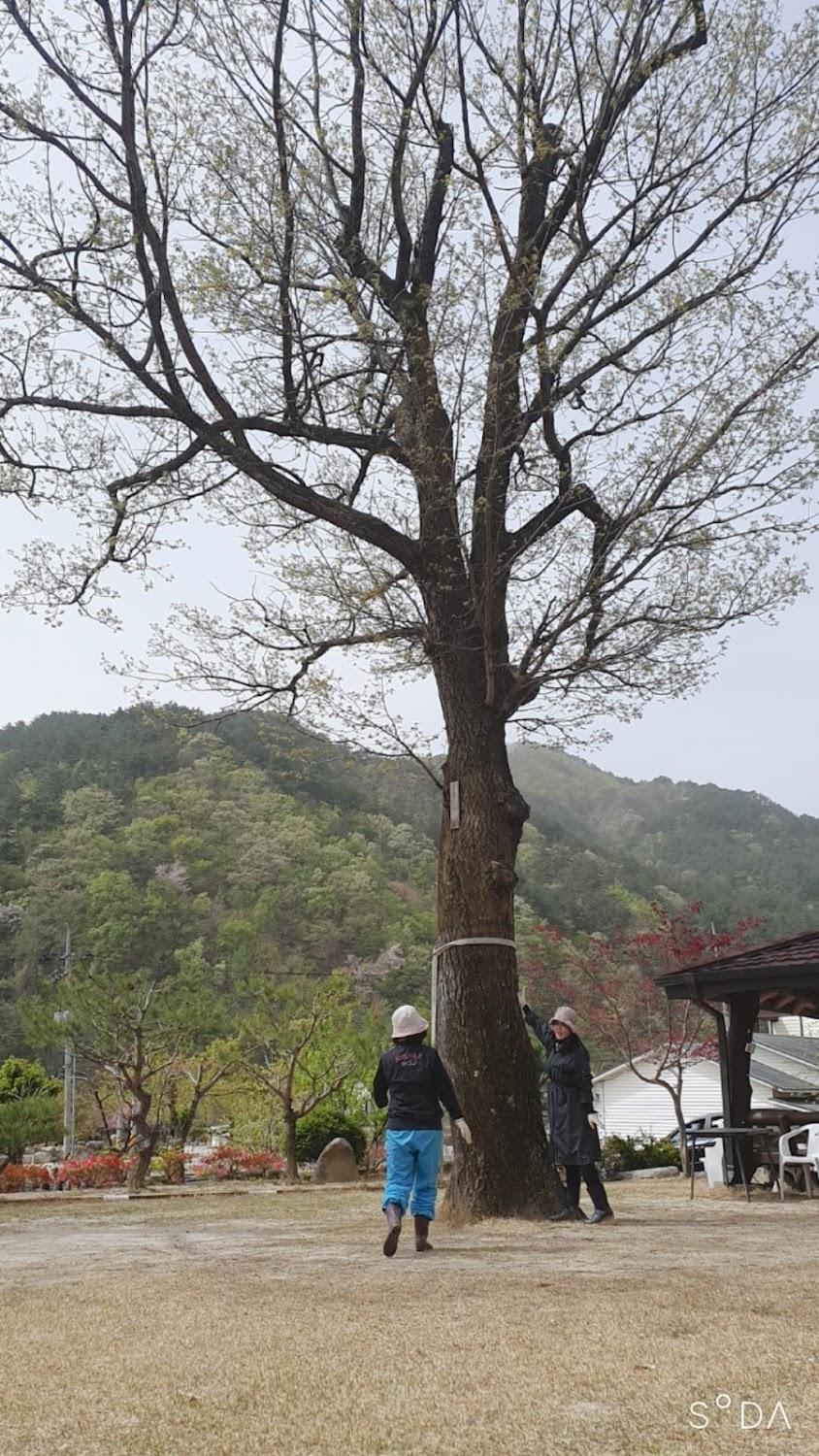 Cover Image for 소금강 여울목펜션