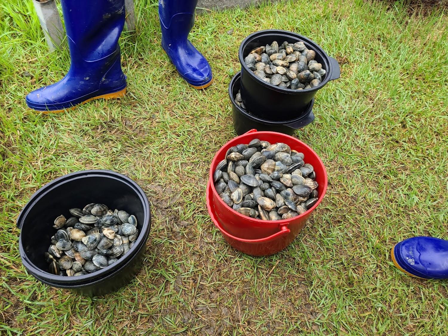 Cover Image for Sea floor Pensions