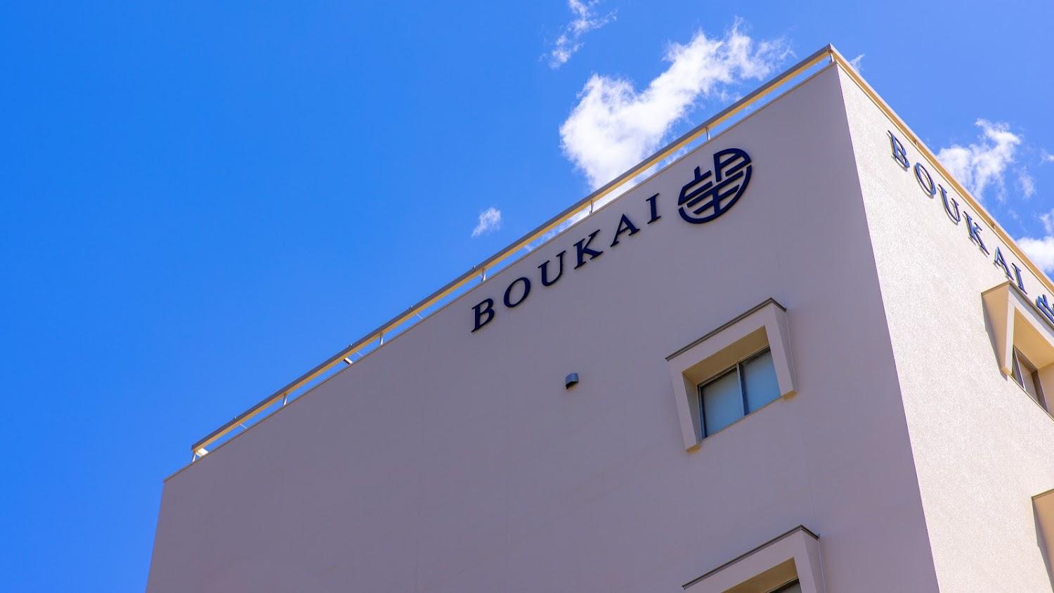 Cover Image for Bokai