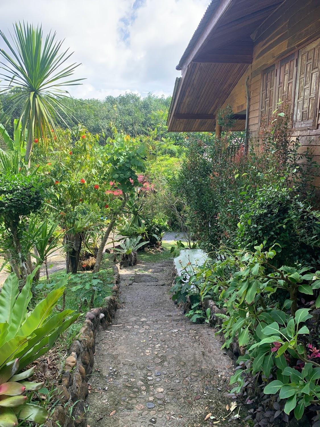 Cover Image for ล่องแก่งวังชมพู่