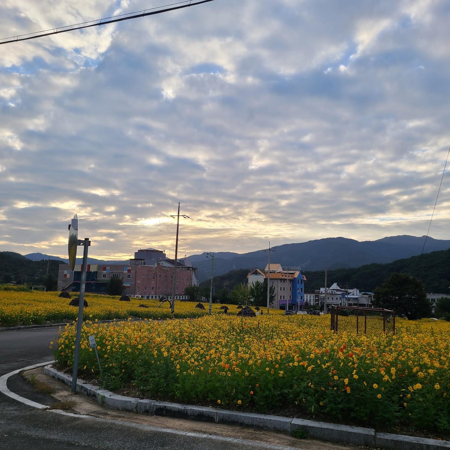 Cover Image for 노고단게스트하우스&호텔