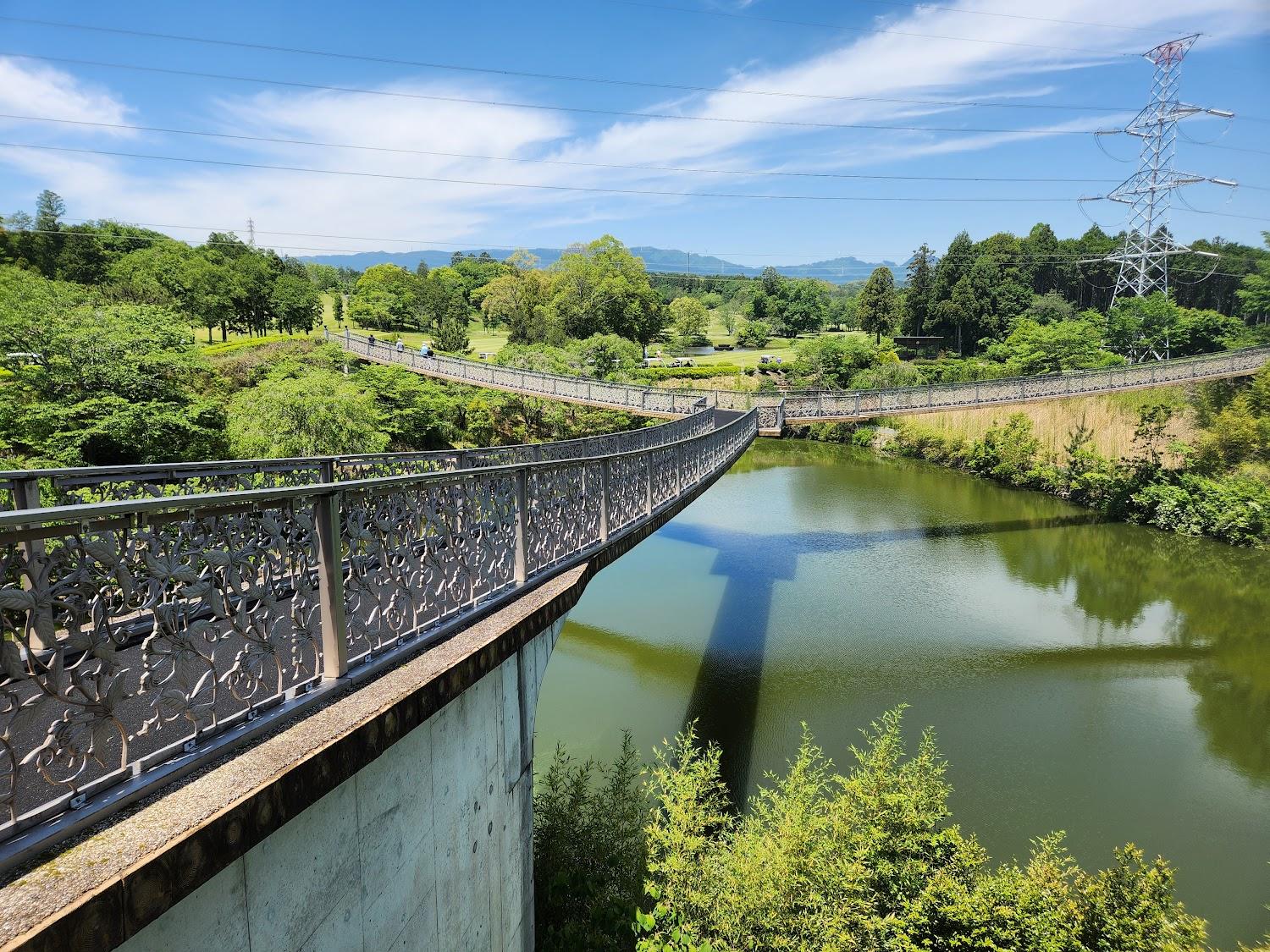 Cover Image for Aoyama Kogen Country Club