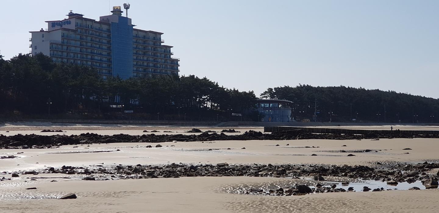 Cover Image for 바다여행펜션