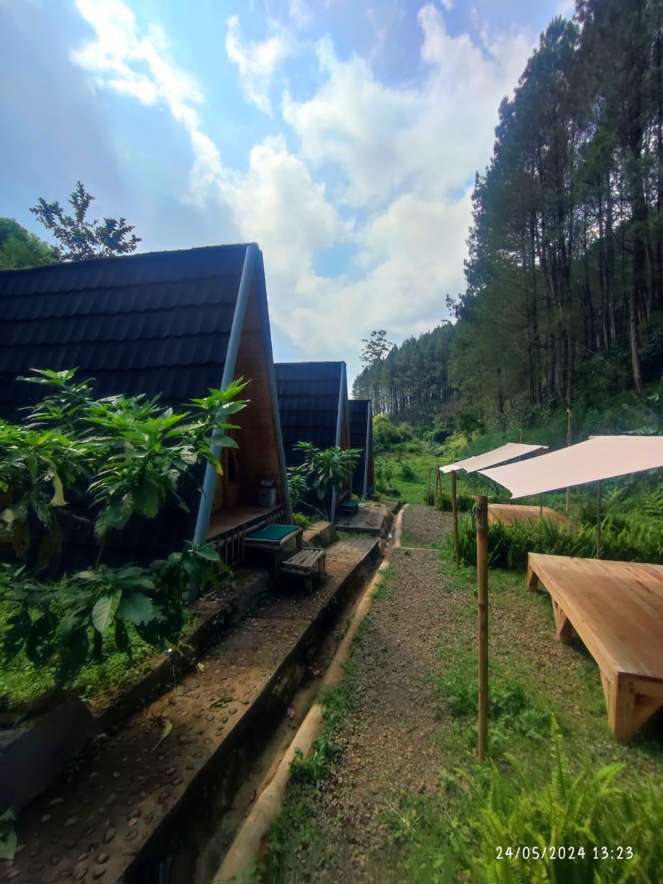 Cover Image for KANCAH NANGKUB