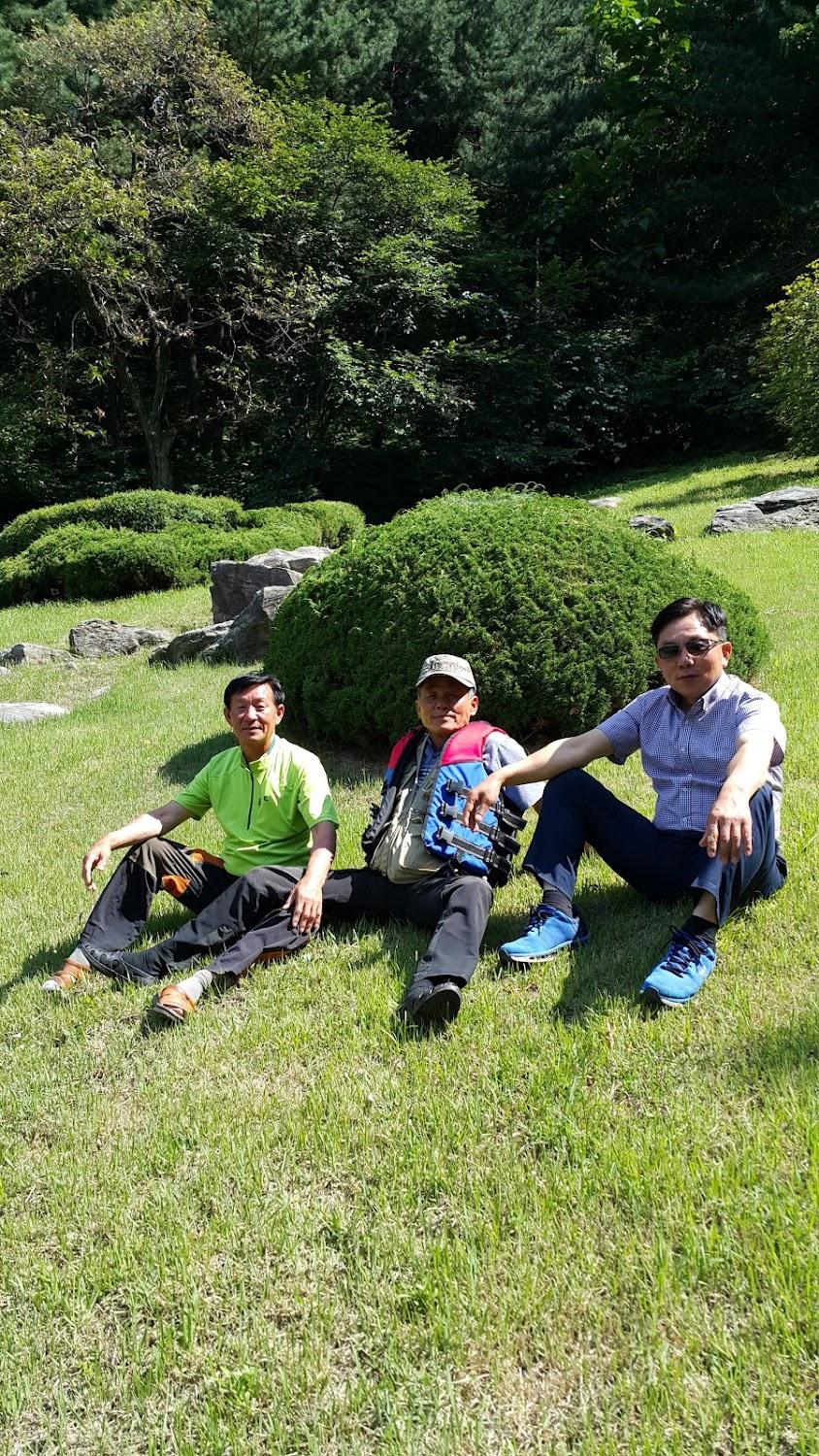 Cover Image for 슈가트리