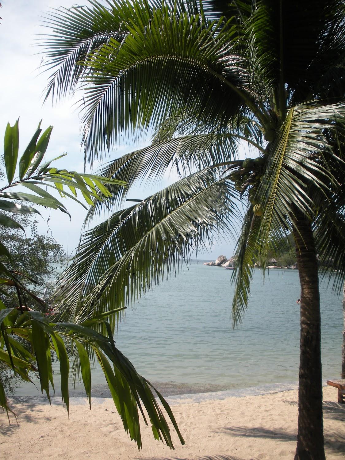 Cover Image for Fisherman Koh Tao