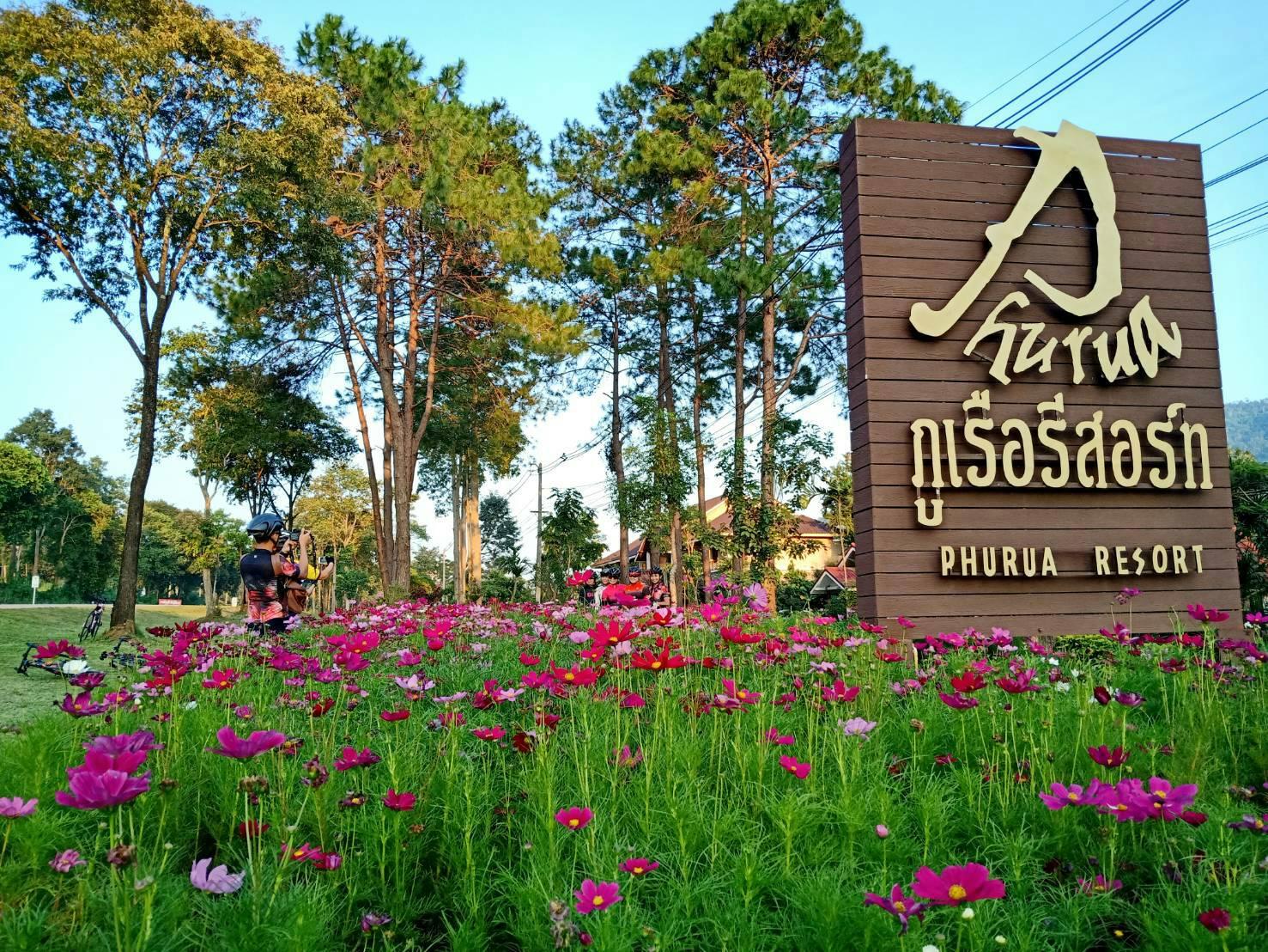 Cover Image for ภูเรือ รีสอร์ท (Phurua resort)