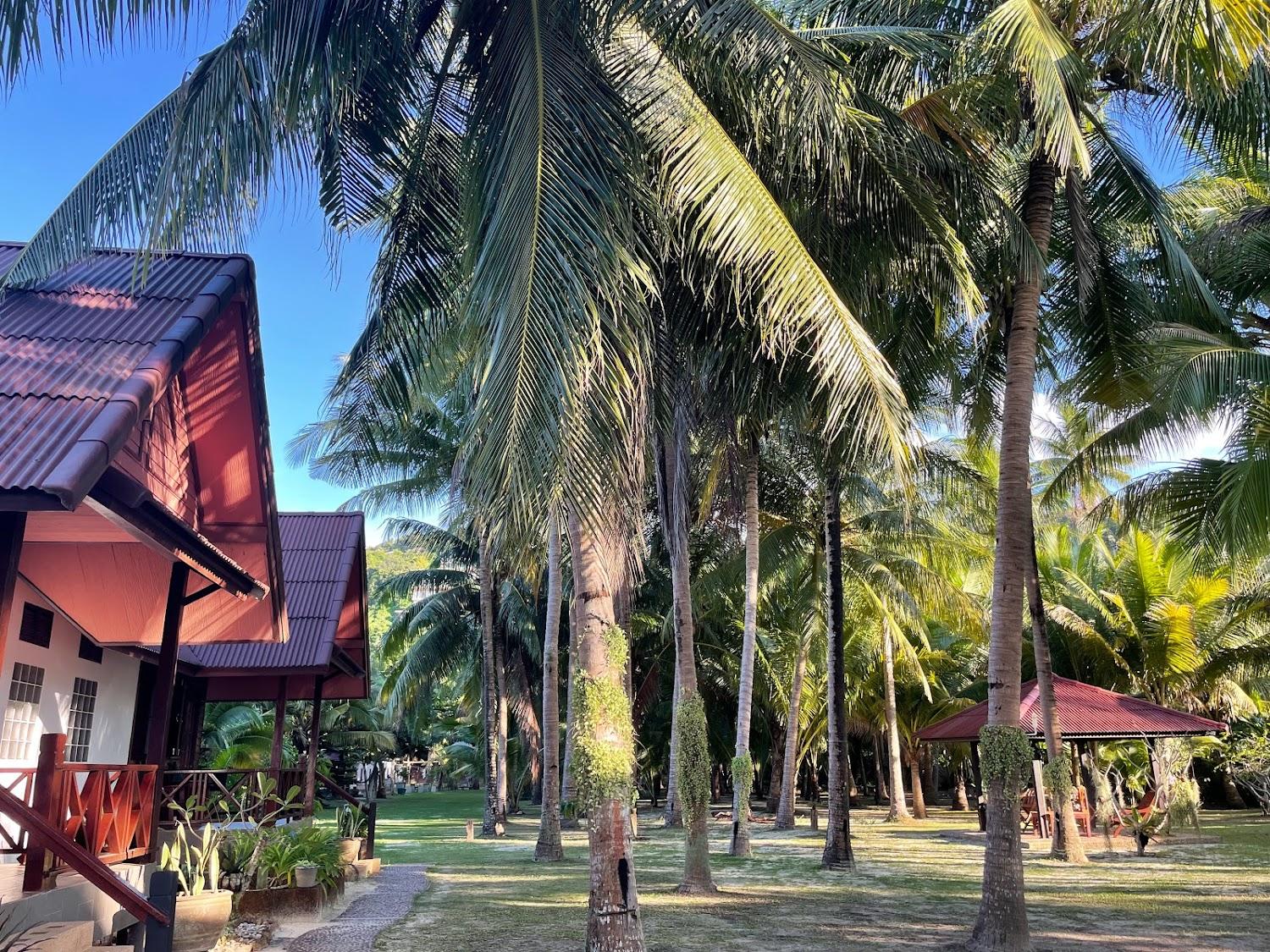 Cover Image for Asia Bungalows