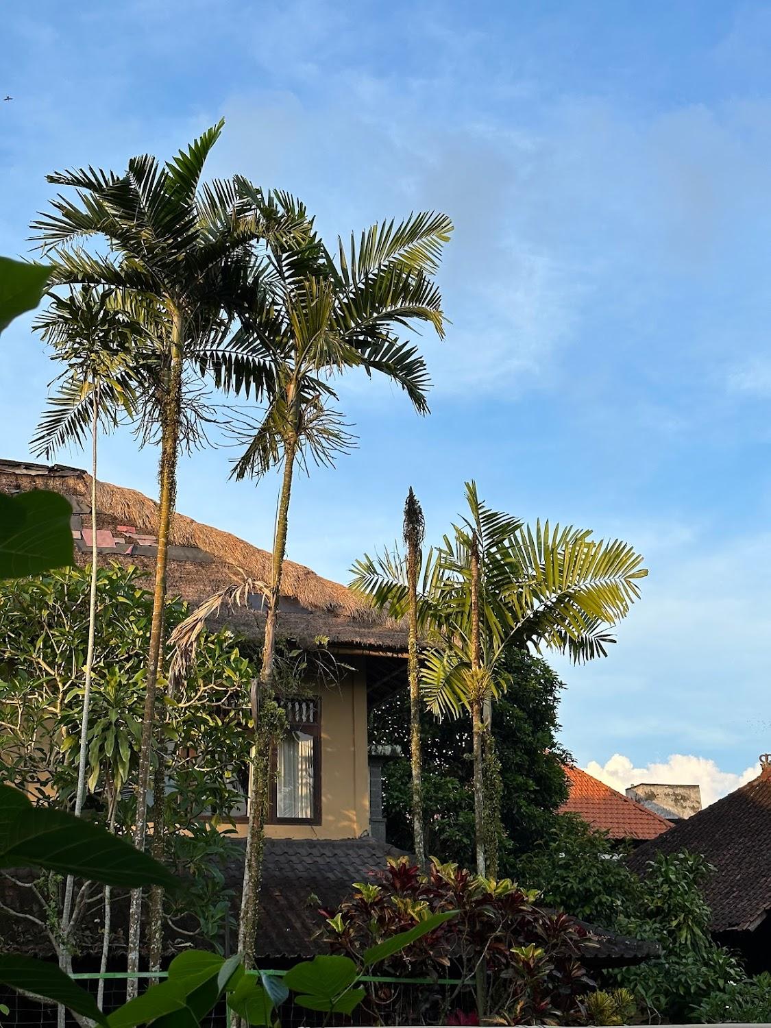 Cover Image for Keladi House Ubud