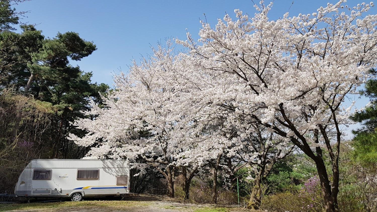 Cover Image for 양평밸리