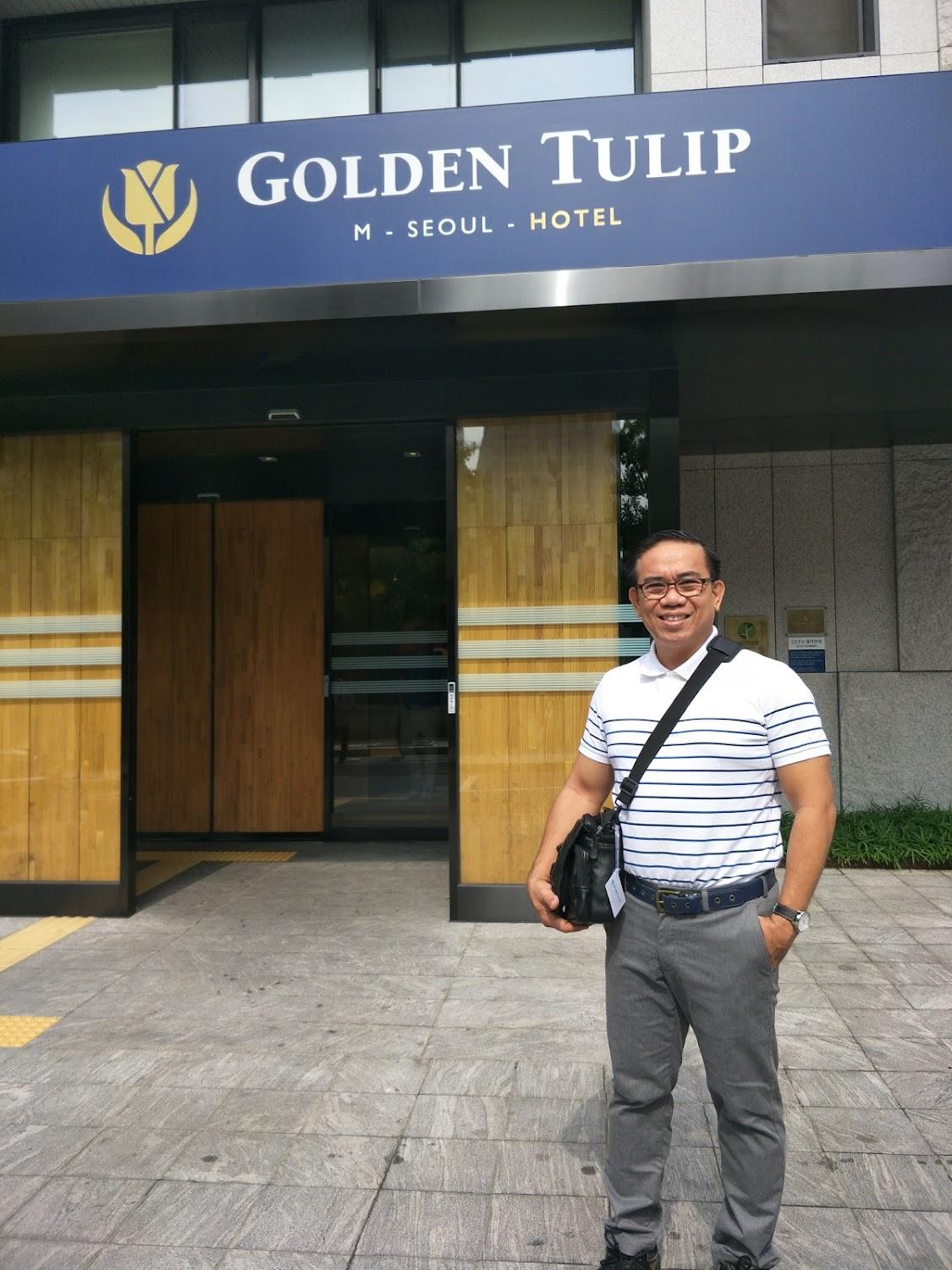 Cover Image for GOLDEN TULIP M