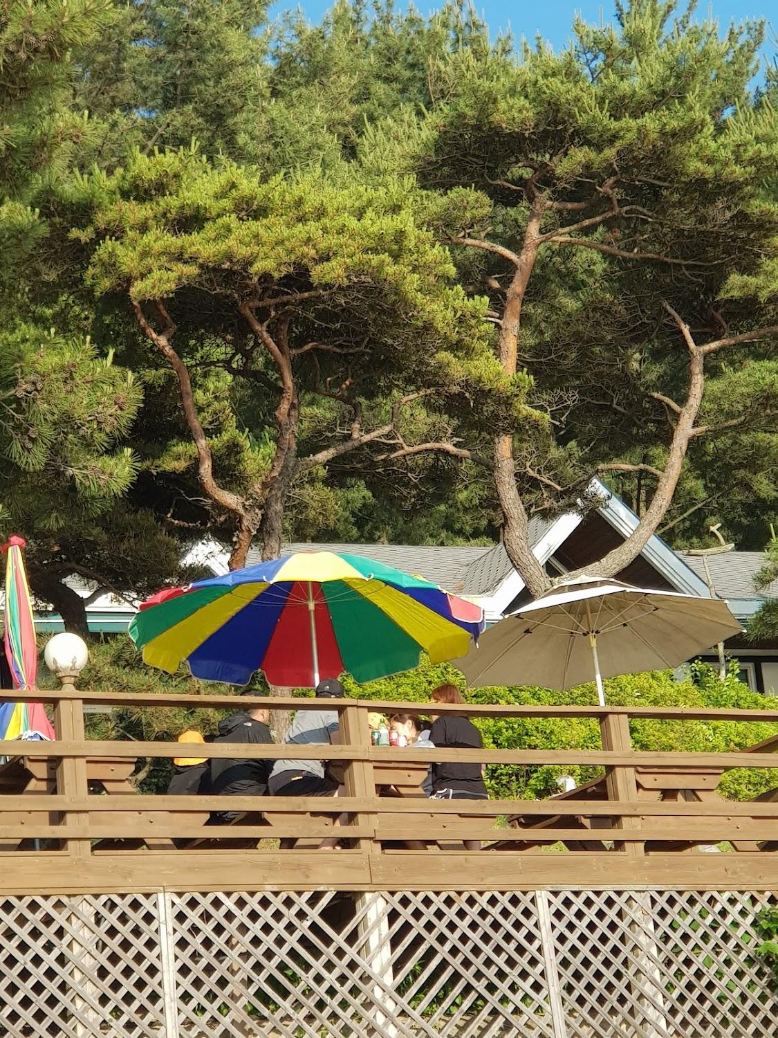 Cover Image for 쉼이있는자유