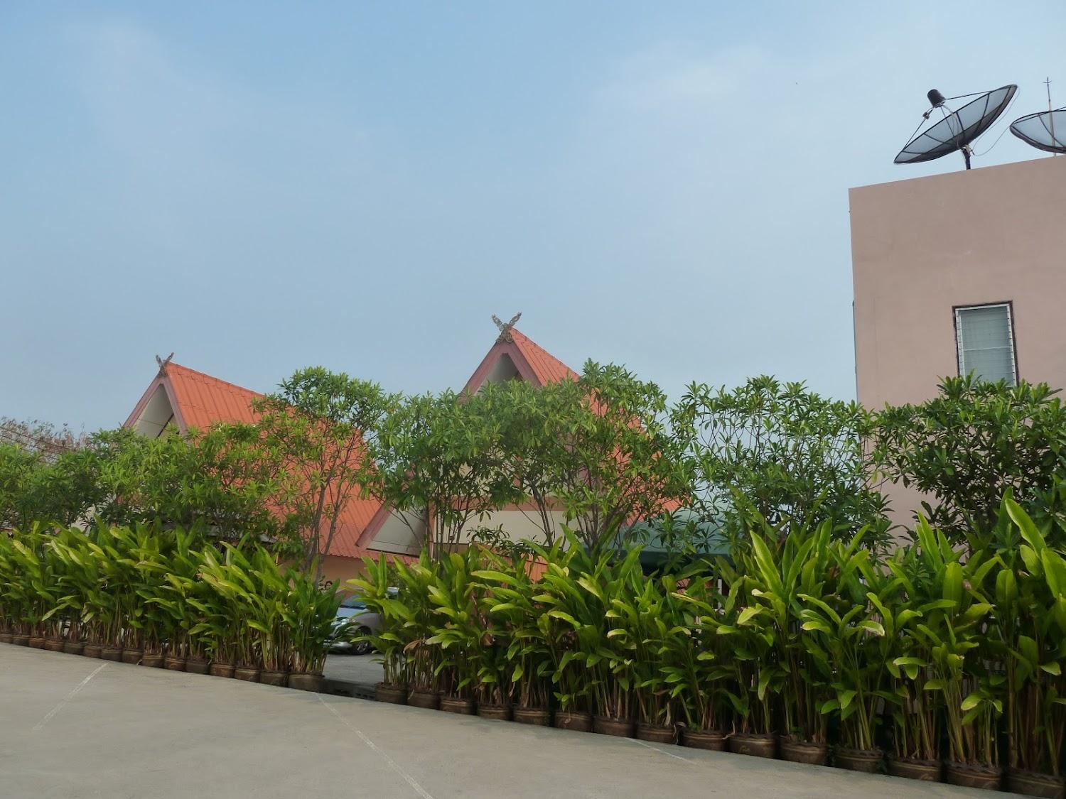Cover Image for โรงแรมเวียงคำรีสอร์ท