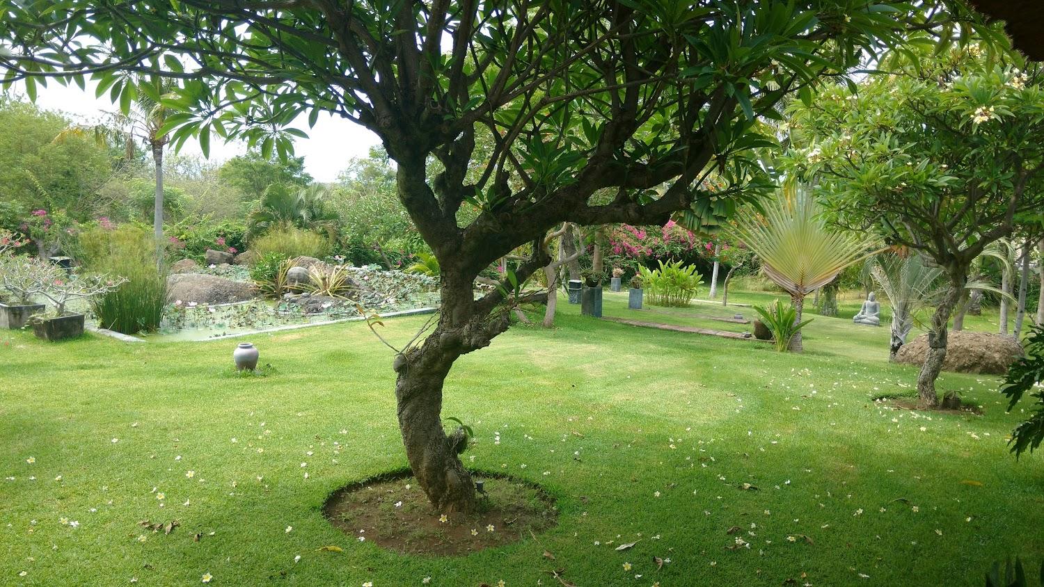 Cover Image for Jeda Villa