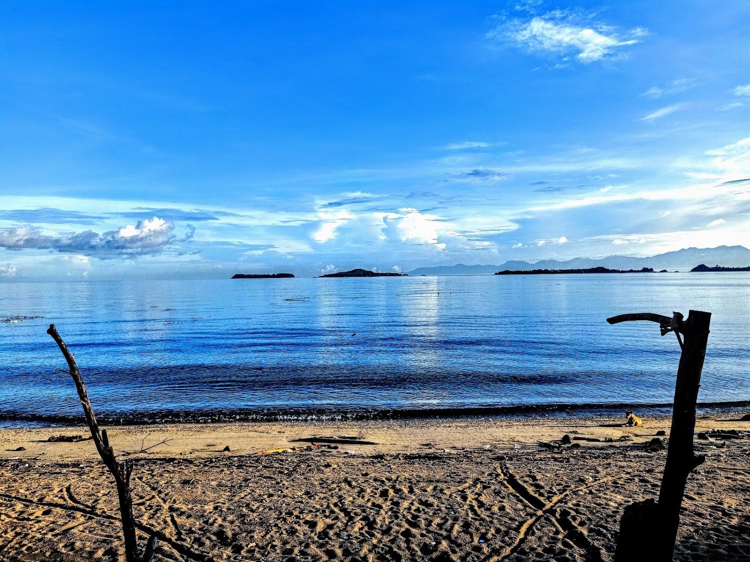 Cover Image for Silver Fern Beach Retreat