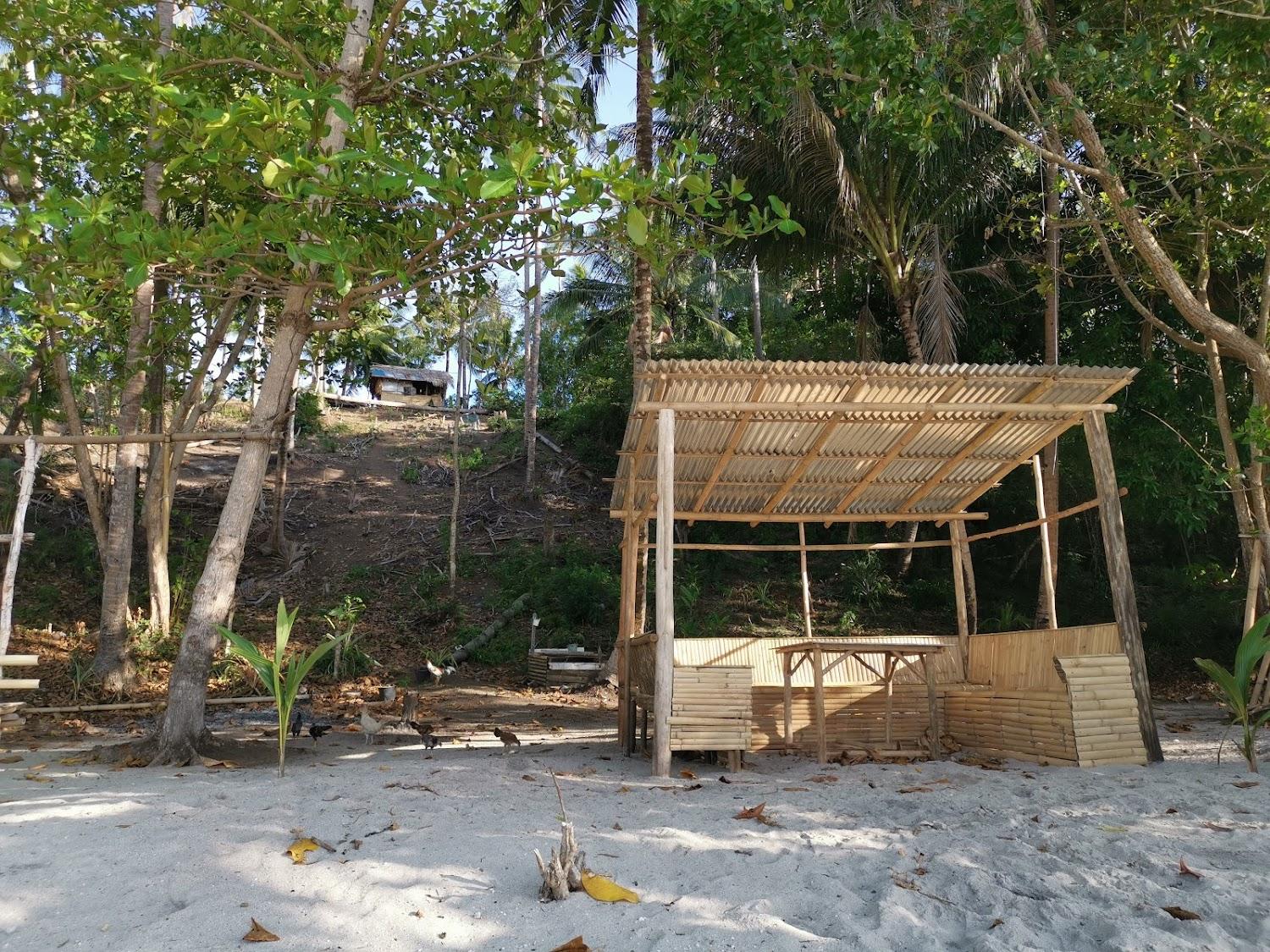 Cover Image for Eco Divers Resort Lembeh