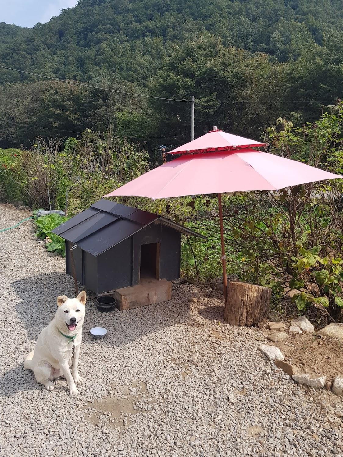 Cover Image for 아람펜션