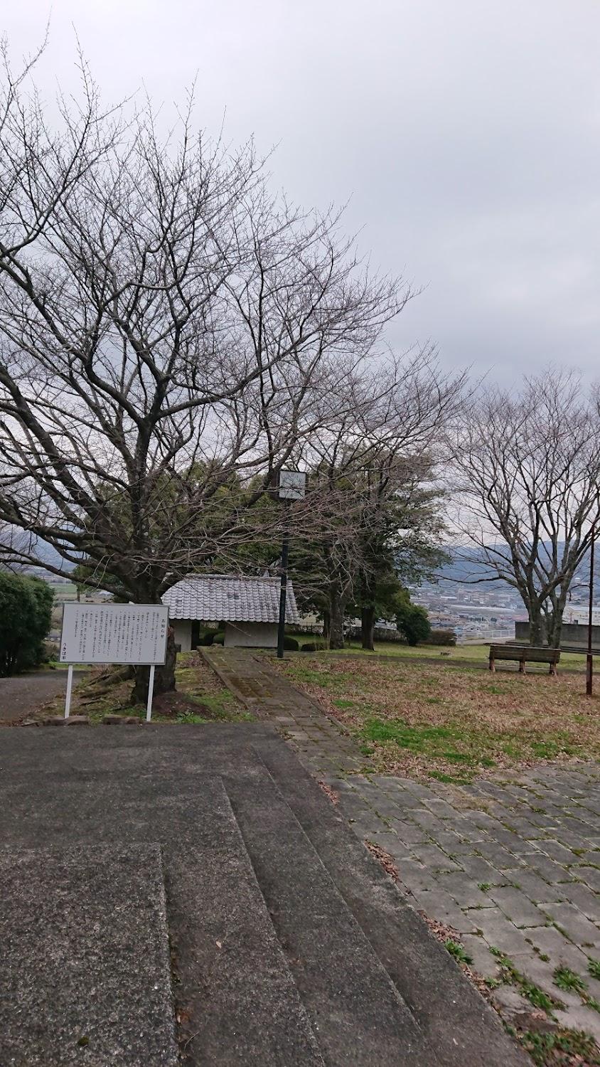 Cover Image for Yoshiihyakunen Park