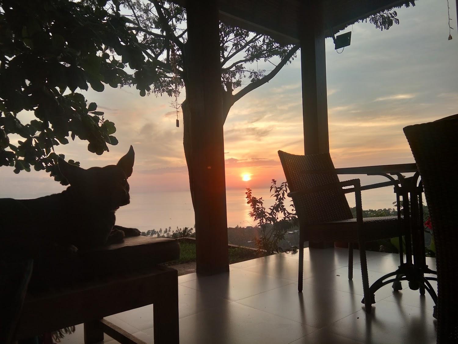 Cover Image for Zerosixvilla Senggigi