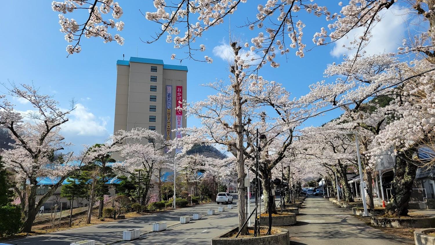 Cover Image for Hanamakionsen Hotel Senshukaku