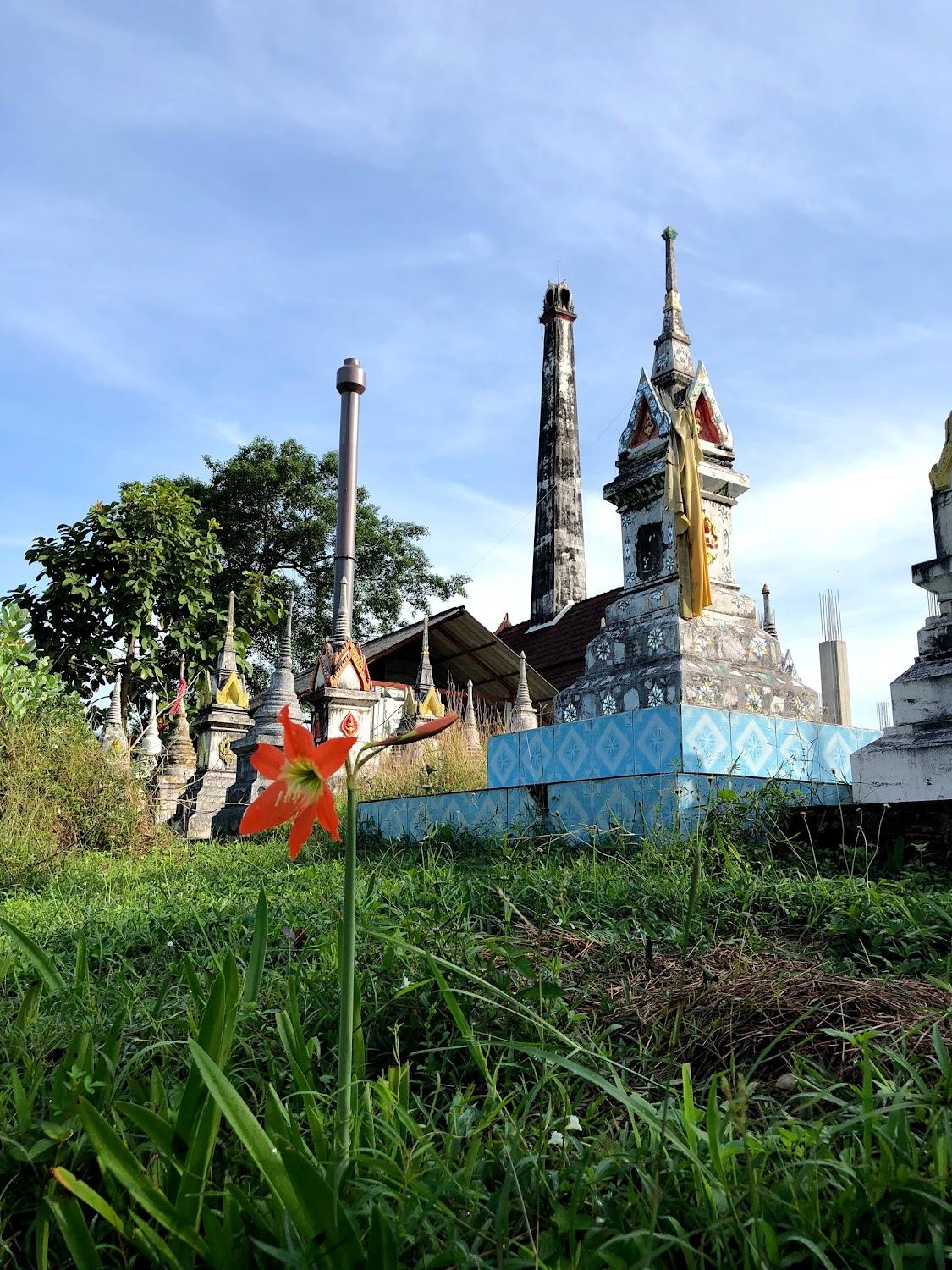 Cover Image for Kappa club thai beach resort